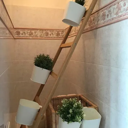 Apartament In Centro Montalcino